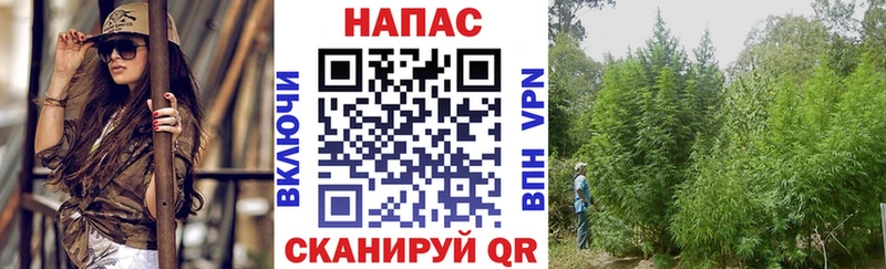 Купить закладку Каннабис  COCAIN  ГАШ  Alpha PVP  Мефедрон  Бердск