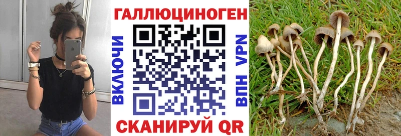 Купить закладки  Бердск  Псилоцибиновые грибы ЛСД 